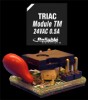 Triac Module - Front and Back Views
